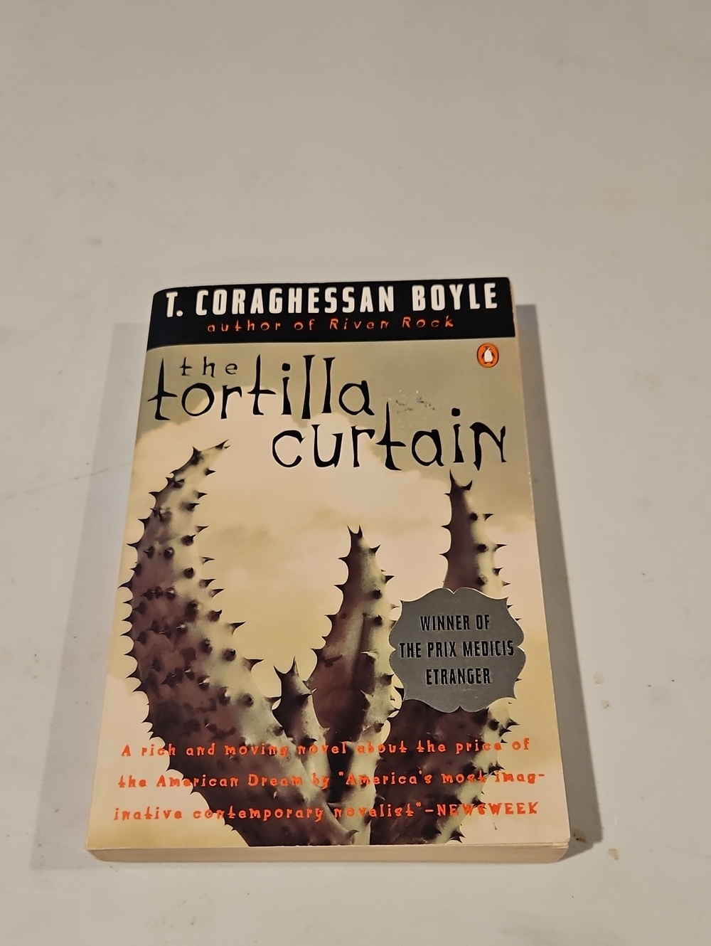 The Tortilla Curtain by - Beige Paperback
